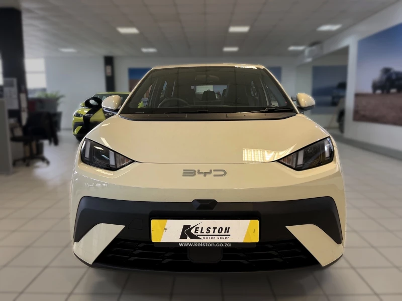 BYD DOLPHIN SURF DYNAMIC