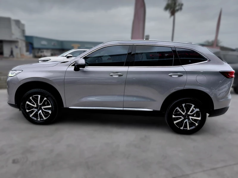 2025 Haval H6 2.0t Luxury 7dct 4wd