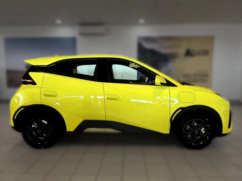 BYD DOLPHIN SURF DYNAMIC