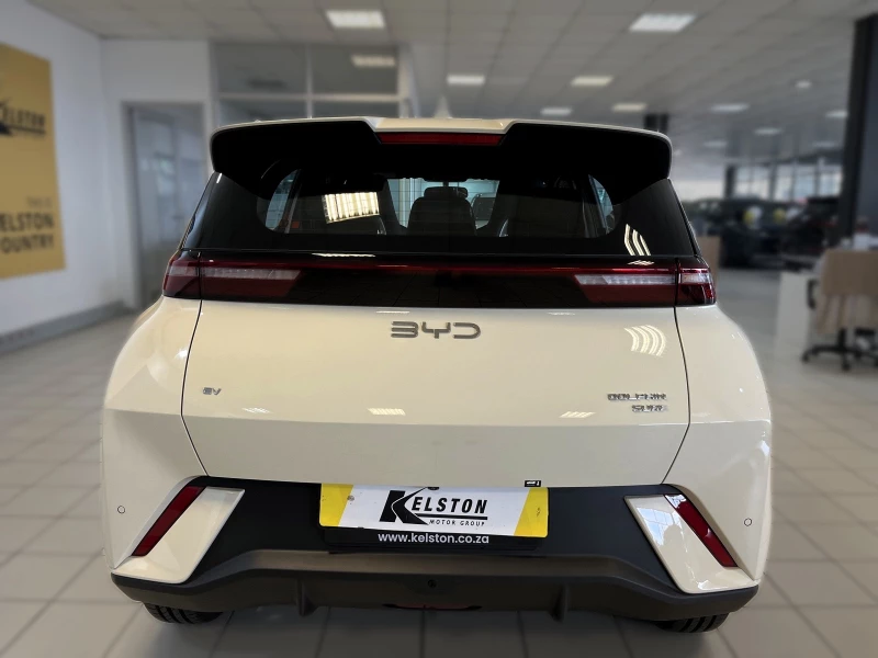 BYD DOLPHIN SURF DYNAMIC