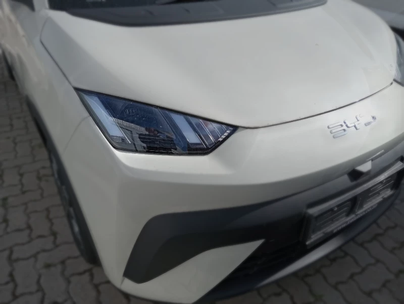 BYD DOLPHIN SURF DYNAMIC