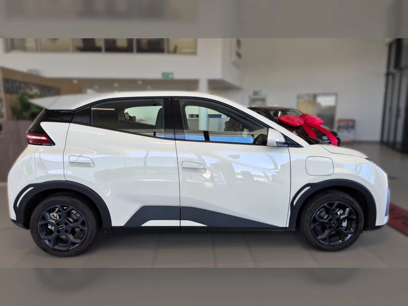 2026 Byd Dolphin Surf Dynamic