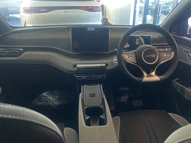 BYD DOLPHIN SURF DYNAMIC