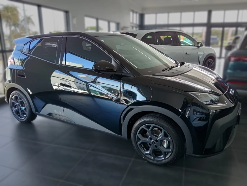 BYD DOLPHIN SURF DYNAMIC