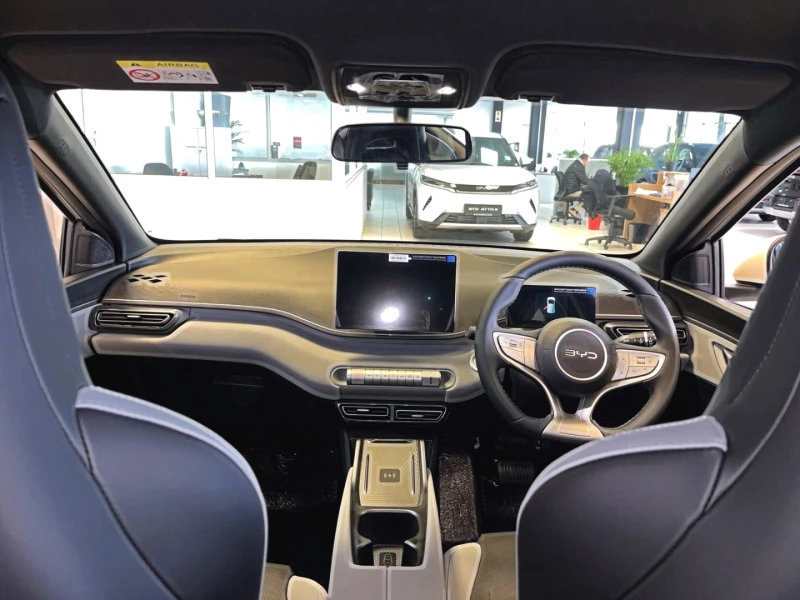 BYD DOLPHIN SURF DYNAMIC