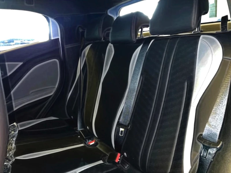 BYD DOLPHIN SURF DYNAMIC