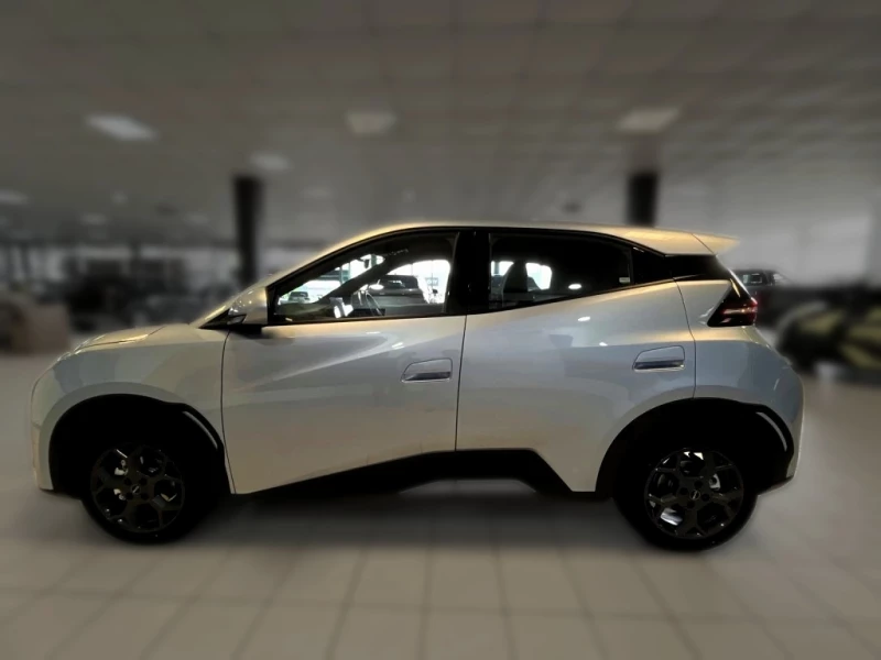 BYD DOLPHIN SURF DYNAMIC