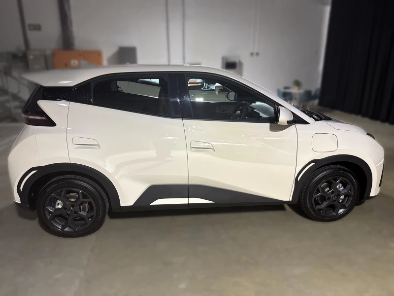 BYD DOLPHIN SURF COMFORT