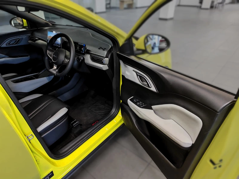 BYD DOLPHIN SURF DYNAMIC