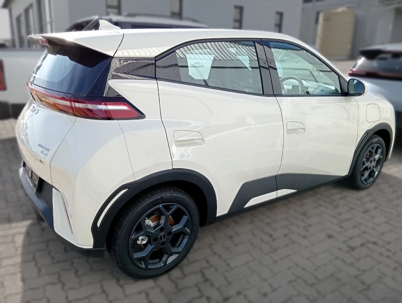 BYD DOLPHIN SURF DYNAMIC
