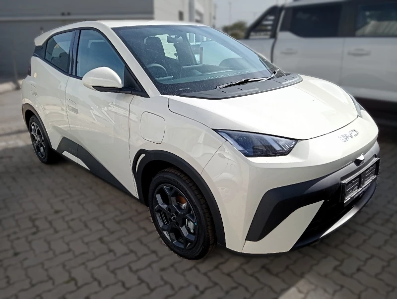 BYD DOLPHIN SURF DYNAMIC