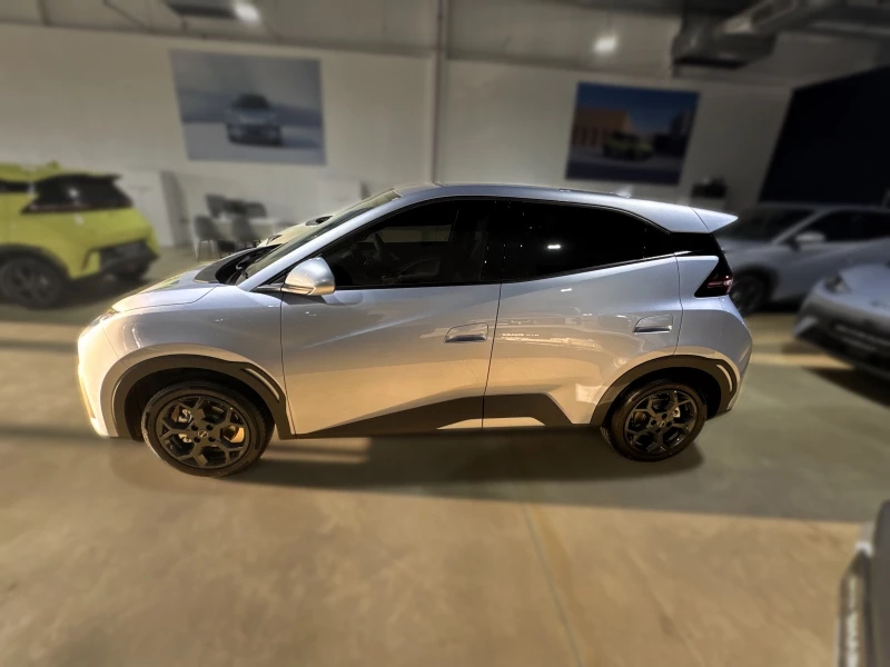 BYD DOLPHIN SURF DYNAMIC