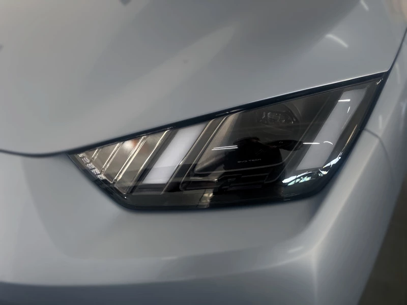 BYD DOLPHIN SURF DYNAMIC