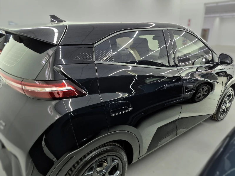 BYD DOLPHIN SURF DYNAMIC