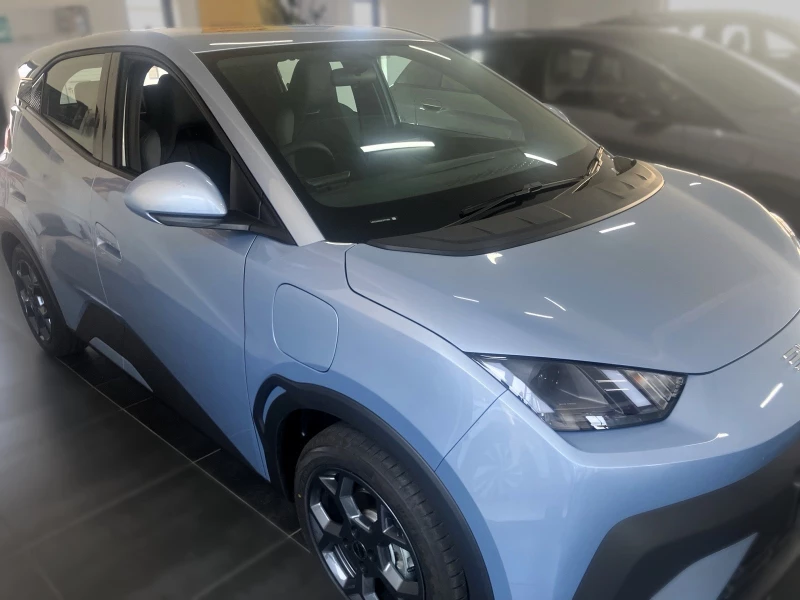 BYD DOLPHIN SURF DYNAMIC