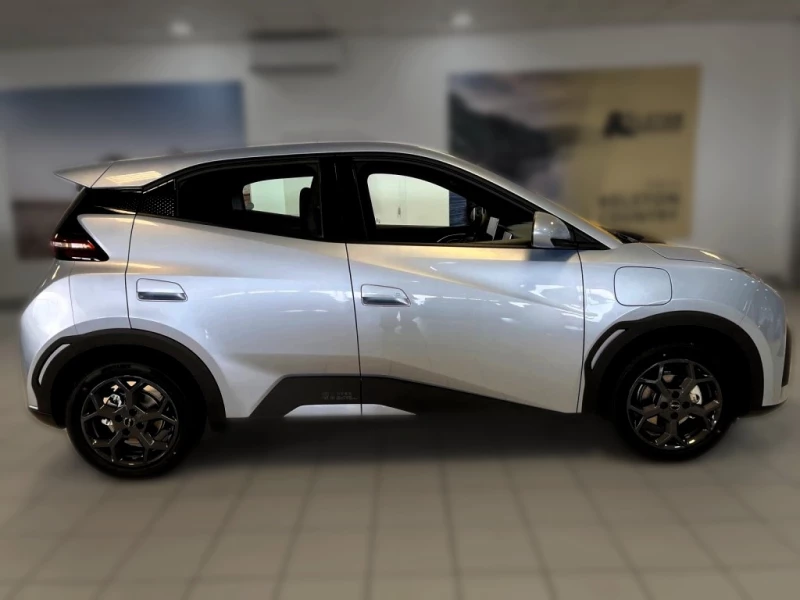 BYD DOLPHIN SURF DYNAMIC