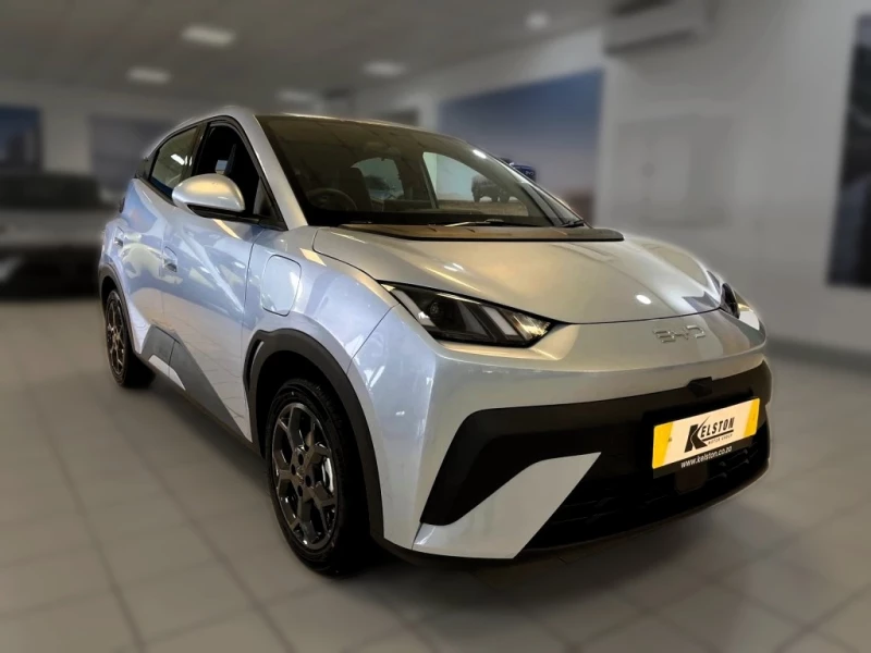 BYD DOLPHIN SURF DYNAMIC