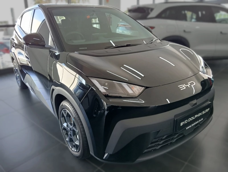 BYD DOLPHIN SURF DYNAMIC
