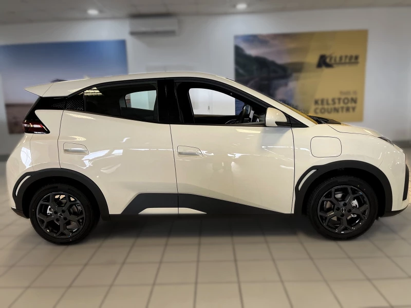 BYD DOLPHIN SURF DYNAMIC